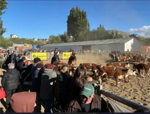 El Consejo Agrario Provincial estuvo presente en la 49ª Feria Ganadera Bovina de Santa Cruz