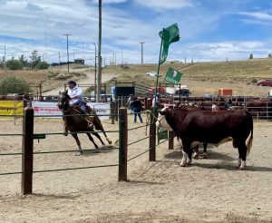 El Consejo Agrario Provincial estuvo presente en la 49ª Feria Ganadera Bovina de Santa Cruz