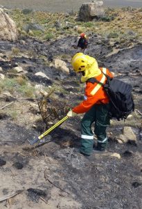 Controlaron incendio en cercanías del Puesto Kaiken Aike, Estancia Santa Margarita de El Chaltén
