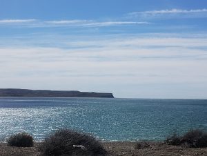 Santa Cruz celebró una jornada de senderismo en la Reserva Provincial Aves Migratorias