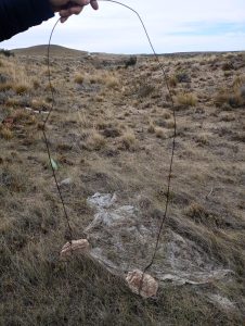 Se produjeron actos de sabotaje en el Distrito Puerto Deseado