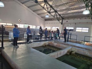 Visita Educativa de la Salita de 5 años de Sueños de Alegría a Servicios Públicos