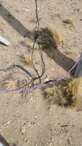 Conexiones clandestinas en línea eléctrica afectan abastecimiento de agua en Caleta Olivia