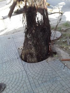 Servicios Públicos realizó intervenciones en distintos puntos de El Chaltén y Puerto Deseado