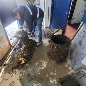 Servicios Públicos continúa con diversos trabajos en la provincia