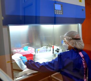 Caleta Olivia podrá analizar muestras de PCR en el día para toda la zona norte de Santa Cruz