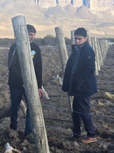 Vidal recorrió el proyecto vitivinícola que impulsa el Consejo Agrario Provincial en Lago Posadas
