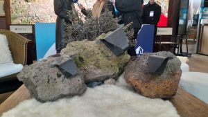 El Consejo Agrario Provincial lleva la identidad santacruceña a la Expo Ganadera 2025