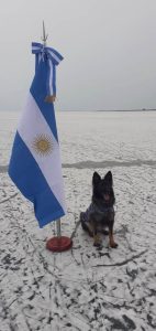 La DDI El Calafate incorporó a Candy, el can detector de estupefacientes