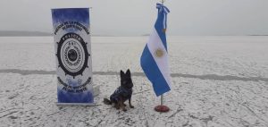 La DDI El Calafate incorporó a Candy, el can detector de estupefacientes