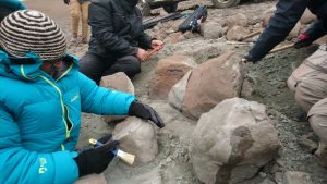 Investigador del Conicet presentará nuevo hallazgo paleontológico en Santa Cruz