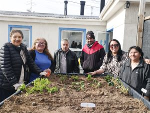 Adultos mayores fortalecen la autosustentabilidad de alimentos con talleres de huerta
