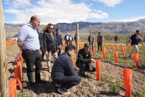 El CAP potencia el Plan Vitivinícola en Lago Posadas