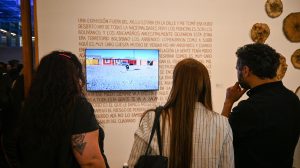 Artistas de Santa Cruz premiados en el Salón Nacional de Artes Visuales