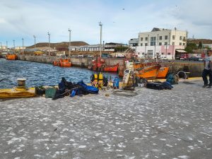 UnEPoSC acompañó el salvamento de los buques hundidos en Caleta Paula