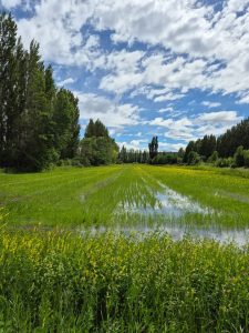 Estado presente en el territorio: El CAP recorre Gobernador Gregores y acompaña a los productores
