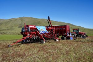 Santa Cruz fortalece la producción de granos con proyección de expansión en 2026