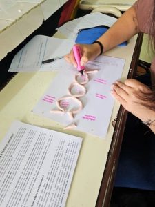 Estudiantes del Colegio Secundario N° 9 refuerzan contenidos en la Escuela de Verano