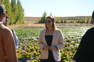 Ricci acompañó la agenda del gobernador en Perito Moreno
