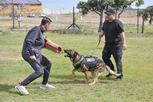 #SomosElEstado: Humano y can conforman un sólido equipo de seguridad