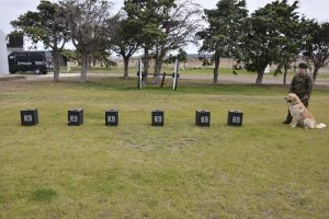 #SomosElEstado: Humano y can conforman un sólido equipo de seguridad