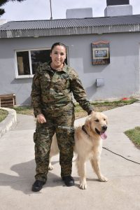 #SomosElEstado: Humano y can conforman un sólido equipo de seguridad