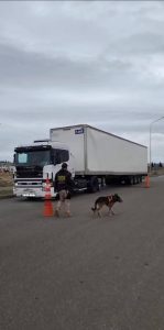 Santa Cruz refuerza la seguridad: más de 21.500 vehículos controlados y millonarias incautaciones en el primer trimestre 2026