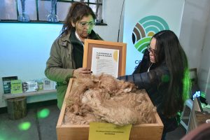 Se realizó en Río Gallegos jornada sobre carne de guanaco para promover producción, empleo y agregado de valor en Santa Cruz