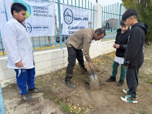 Se realizó jornada de forestación en la escuela 63 de Río Gallegos