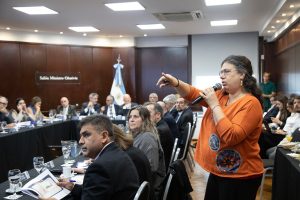 Santa Cruz en el Consejo Federal de Salud: definieron agenda de trabajo para los próximos meses