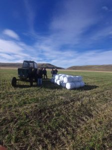 Santa Cruz trabaja para potenciar el desarrollo agrícola en la Cuenca