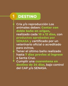 Santa Cruz recuerda los requisitos obligatorios para el ingreso de ovinos a la provincia
