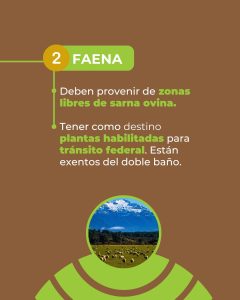 Santa Cruz recuerda los requisitos obligatorios para el ingreso de ovinos a la provincia