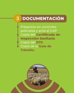 Santa Cruz recuerda los requisitos obligatorios para el ingreso de ovinos a la provincia