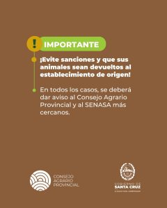 Santa Cruz recuerda los requisitos obligatorios para el ingreso de ovinos a la provincia