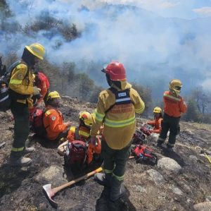 Se realizará un simulacro de incendio forestal en Río Gallegos