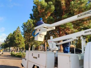 Servicios Públicos fortalece la infraestructura energética y sanitaria en Lago Posadas y Bajo Caracoles