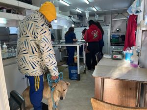 Más amor, menos abandono: La Escuela N° 43 transformó el Día del Animal en una lección de vida