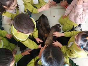 El Jardín N° 16 recibió a la División de Canes para promover el cuidado responsable de animales