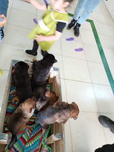 El Jardín N° 16 recibió a la División de Canes para promover el cuidado responsable de animales