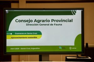 Santa Cruz impulsa el fortalecimiento de mataderos para ordenar y potenciar la producción