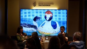 “Crueldad del macá” abrió un diálogo sobre territorio e identidad en la undécima jornada de la FILBA 2026