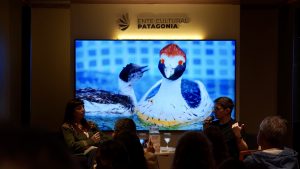 “Crueldad del macá” abrió un diálogo sobre territorio e identidad en la undécima jornada de la FILBA 2026