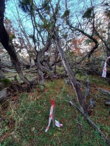 La Provincia fortalece el trabajo con nación para la implementación de la ley de bosques nativos