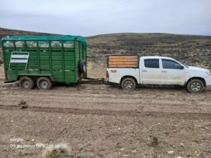 Realizan tareas de mantenimiento urbano en Las Heras y refuerza la asistencia en rutas santacruceñas