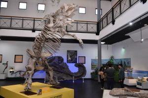 El Museo Molina se prepara para una nueva edición de la Noche de los Museos