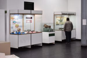 El Museo Molina se prepara para una nueva edición de la Noche de los Museos