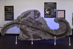 El Museo Molina se prepara para una nueva edición de la Noche de los Museos