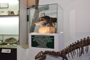 El Museo Molina se prepara para una nueva edición de la Noche de los Museos