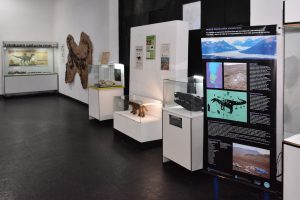 El Museo Molina se prepara para una nueva edición de la Noche de los Museos